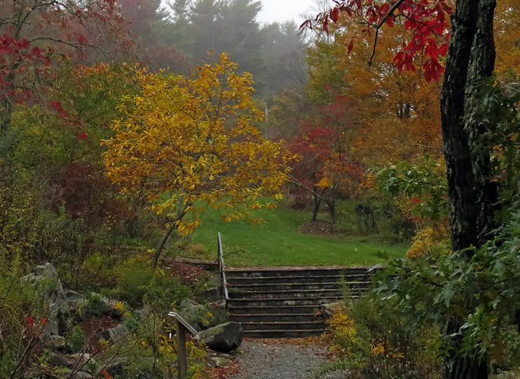 Daniel Boone Native Gardens, United States